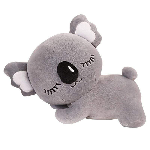 Koala fatigué